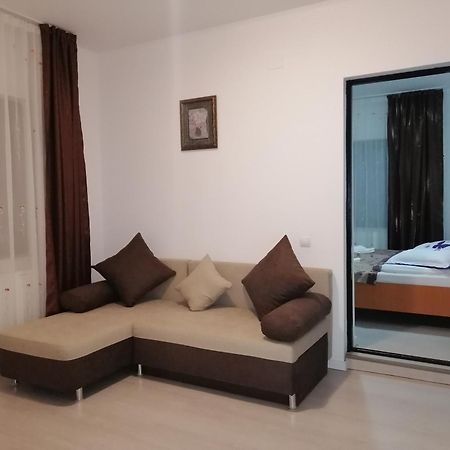 Pensiunea Tora Vatra Dornei Luaran gambar