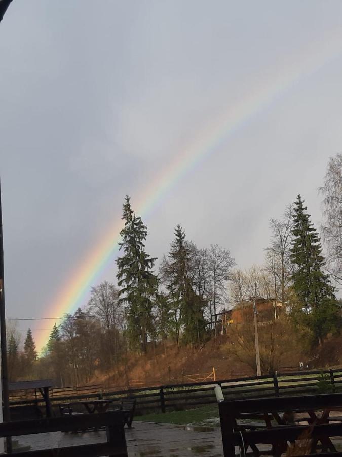 Pensiunea Tora Vatra Dornei Luaran gambar